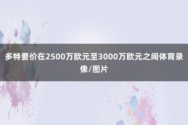 多特要价在2500万欧元至3000万欧元之间体育录像/图片