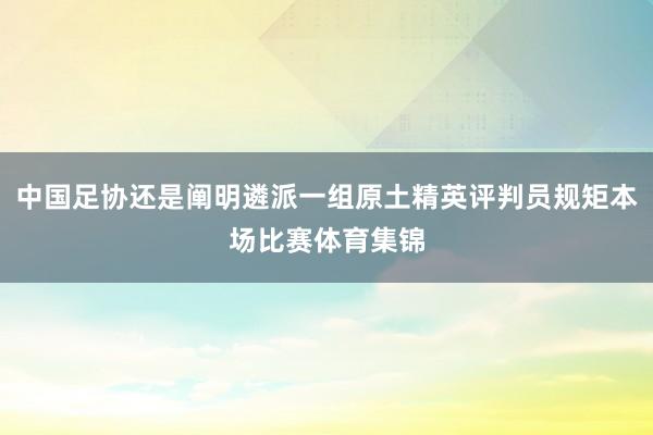 中国足协还是阐明遴派一组原土精英评判员规矩本场比赛体育集锦