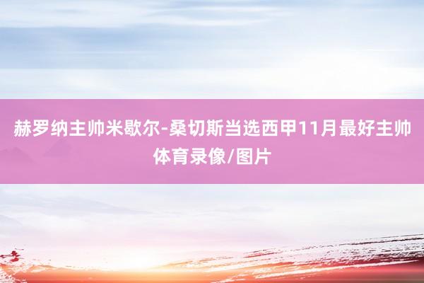 赫罗纳主帅米歇尔-桑切斯当选西甲11月最好主帅体育录像/图片