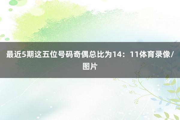 最近5期这五位号码奇偶总比为14：11体育录像/图片