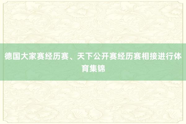 德国大家赛经历赛、天下公开赛经历赛相接进行体育集锦