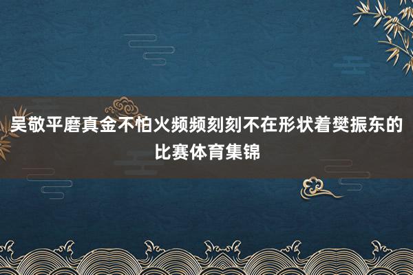 吴敬平磨真金不怕火频频刻刻不在形状着樊振东的比赛体育集锦