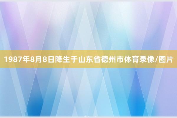 1987年8月8日降生于山东省德州市体育录像/图片