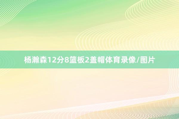 杨瀚森12分8篮板2盖帽体育录像/图片