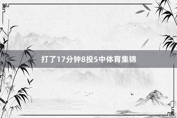 打了17分钟8投5中体育集锦