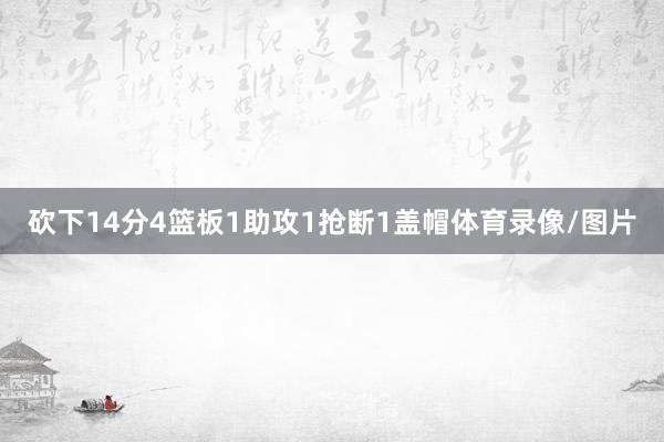 砍下14分4篮板1助攻1抢断1盖帽体育录像/图片